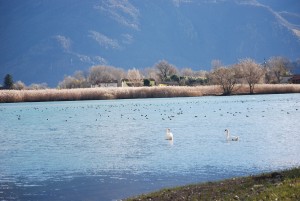 canale del Mera RN3