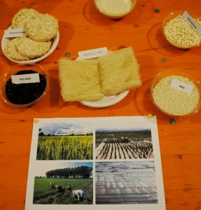 Foto di risaie e prodotti ottenuti dal riso.