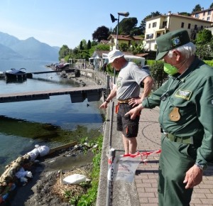 A - Pianello Lario nido cigni 1